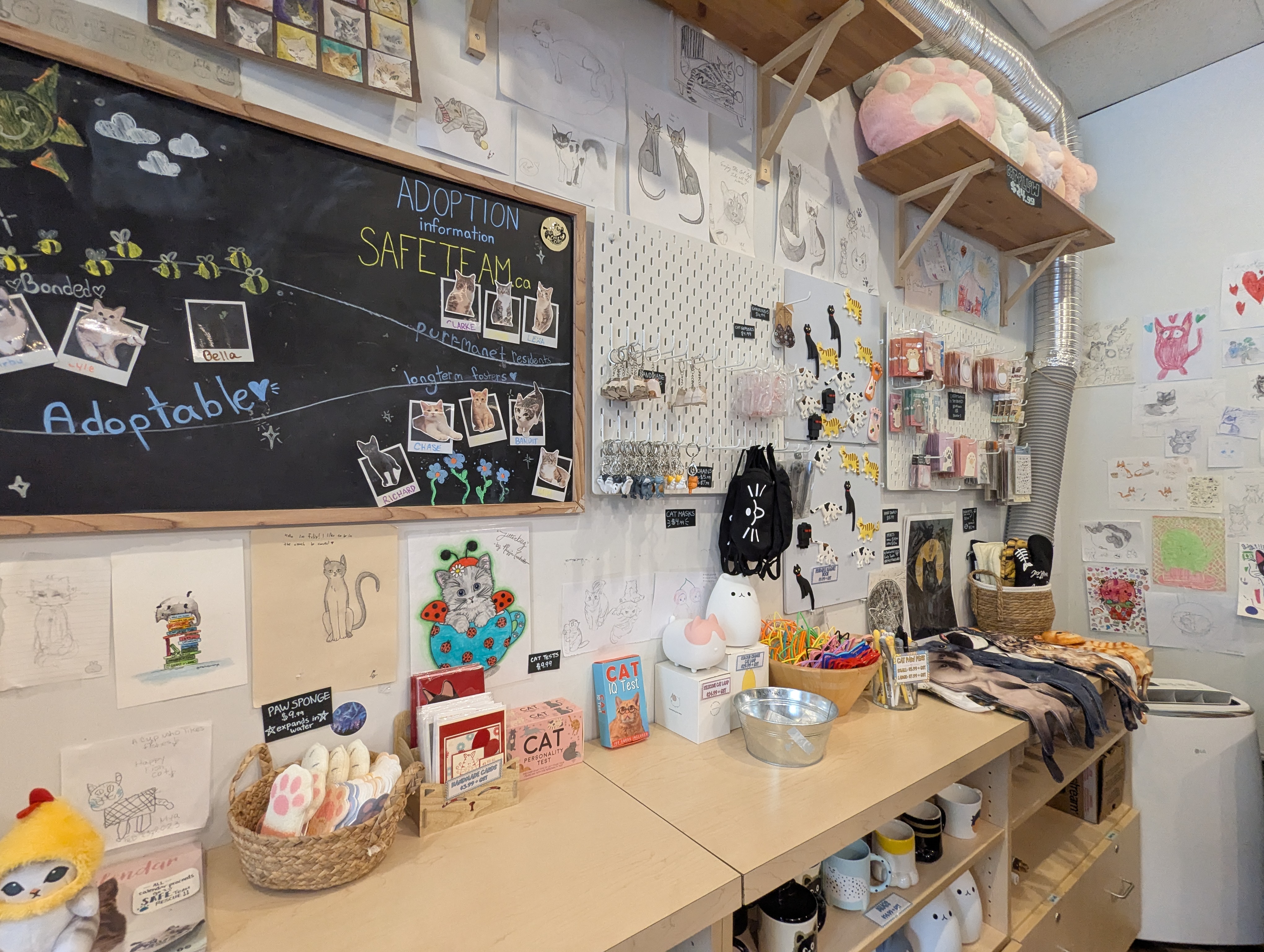 Birthday Trip to Canada, Cat Cafe, Edmonton